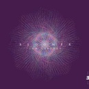 Bloomer - Tom Barford CD