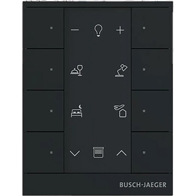 Busch-Jaeger 2CKA006220A0898