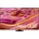 Samsung QE98QN90FAT