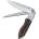 Dellinger Wilderer D2