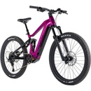 Leader Fox Acron 2 2024