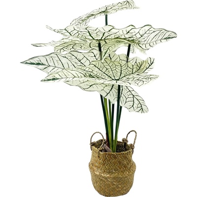 Home Styling Collection Umělá květiná v košíku ALOCASIE, 51 x 30 cm zelený