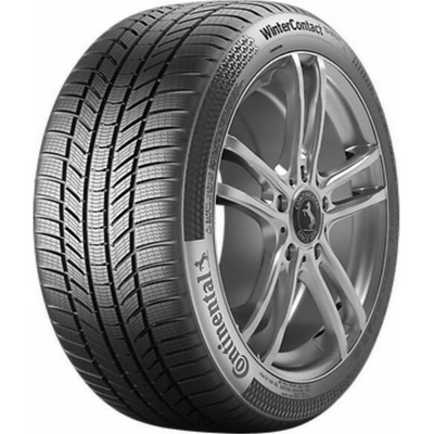 WinterContact TS 870 P ( 205/45 R17 88V XL EVc, )