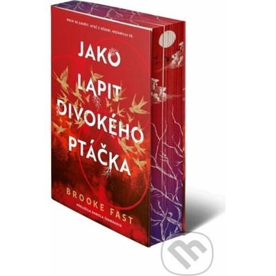 Jako lapit divokého ptáčka
