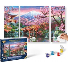 Čerešňové kvety v Japonsku