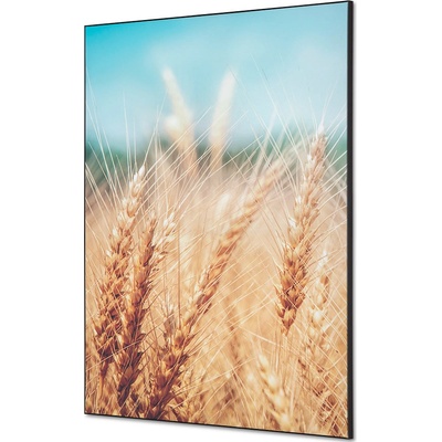Jansen Display Textilní dekorace na zeď A1 Obilné Pole, 594 x 841 mm