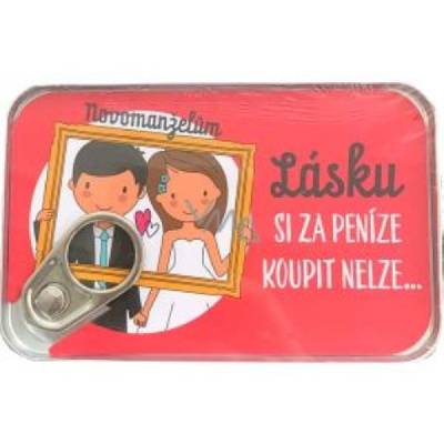 Plechovka na peníze - narozeniny - svatba - ALBI