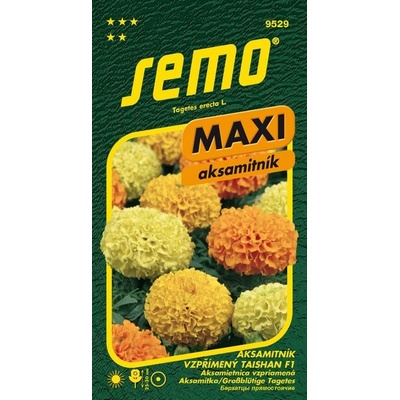 SEMO Aksamitník vzpřímený - Taishan F1 15s - série MAXI