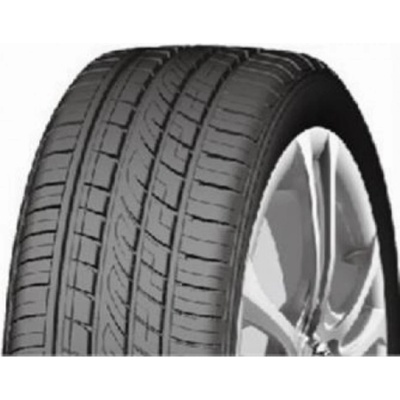 Fortune FSR303 255/45 R20 105Y
