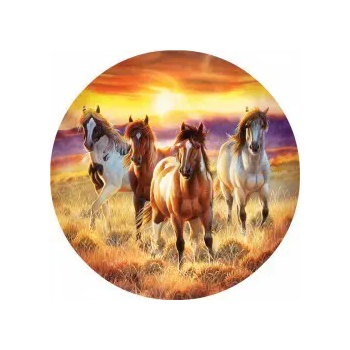 SunsOut - Puzzle Running in the sun - 500 piese