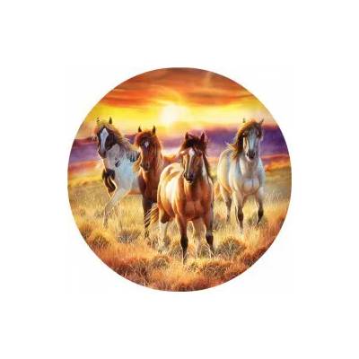 SunsOut - Puzzle Running in the sun - 500 piese