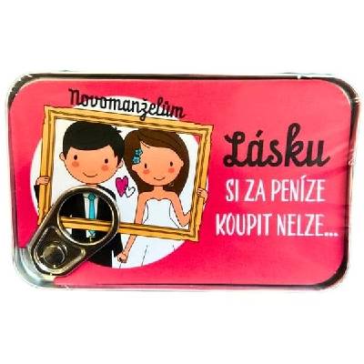 ALBI Plechovka na peníze - narozeniny - svatba