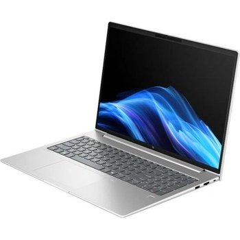 HP EliteBook 6 G1i AD4L3ET