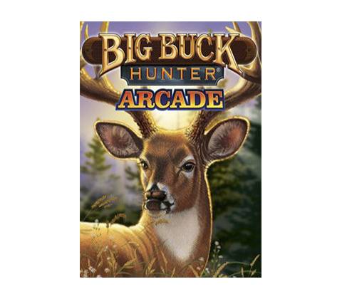 Big Buck Hunter Arcade