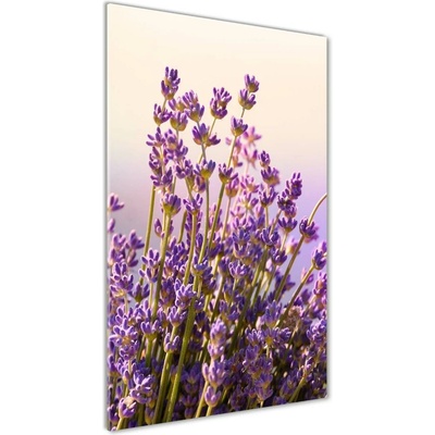 Vertikálny foto obraz sklenený Levanduľa 50x100 cm
