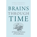 Brains Through Time