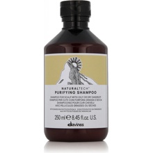 Davines Naturaltech Purifying Shampoo 250 ml