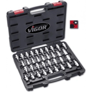 VIGOR V2496