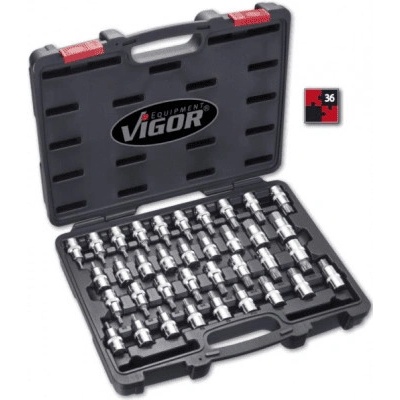 VIGOR V2496