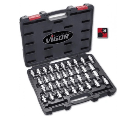 VIGOR V2496