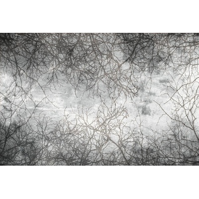 DIMEX MS-5-0386 vliesová fototapeta rozměry 375 x 250 cm