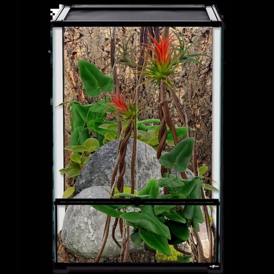 Repti Planet Natur 60 x 45 x 90 cm – Zboží Dáma