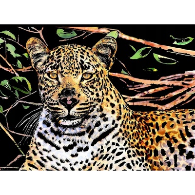 SMT Creatoys Škrabací obrázok farebný Gepard 40,5x28,5cm A3 v sáčku