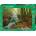 Heye - Puzzle Magic Forests: Little Brook - 1 000 piese