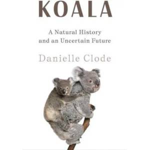 Koala | Clode, Danielle (ISBN: 9781324036838)