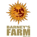 Barney's Farm Ayahuasca Purple semena neobsahují THC 10 ks