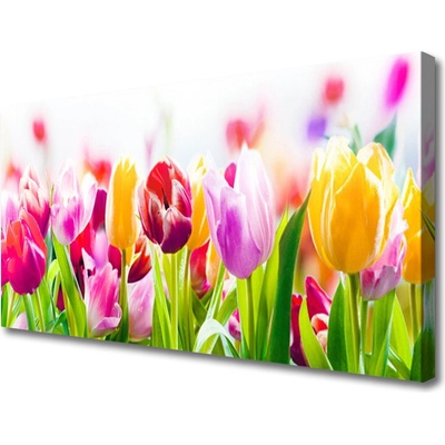 Obraz na plátne Tulipány kvety 100x50 cm