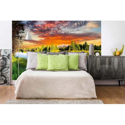 DIMEX ART Самозалепваща се флизелинова фототапета река снейк в уайоминг 375 x 250 см