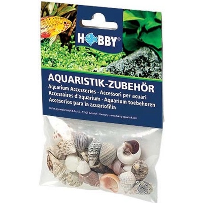 Hobby Sea Shells Set S 20 ks – Zboží Dáma