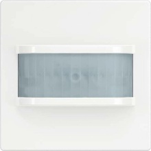 Busch-Jaeger 2CKA006200A0171