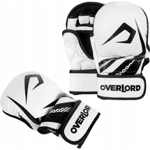 Overlord Sparring