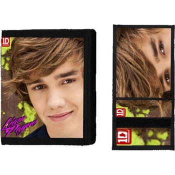 One Direction Liam Payne