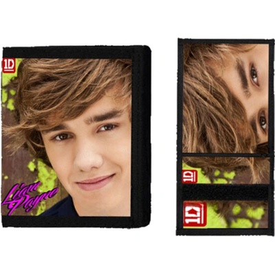 One Direction Liam Payne