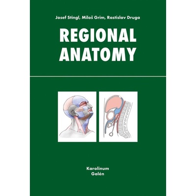 Regional anatomy