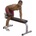 Body-Solid GDIB46L