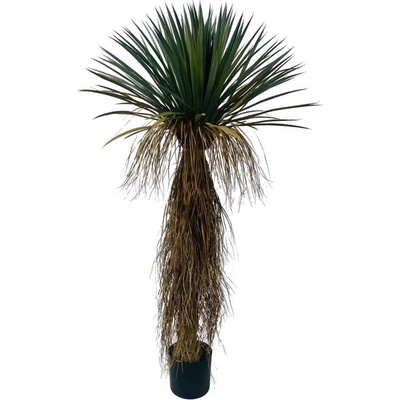 Bizzotto Yucca rostrata РАСТЕНИЕ С ВАЗА h150 (0173144)