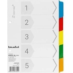 Biurfol Cardboard holders Biurfol A5 5 cards