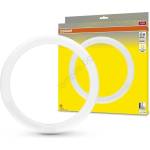 OSRAM LED Флуоресцентна тръба G10q/18, 3W/230V 3000K - Osram (P225711)