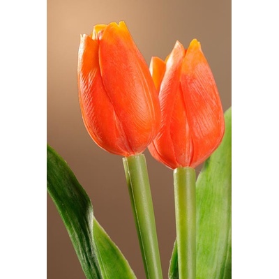 Paramit Umělý tulipán temně červený 40 cm