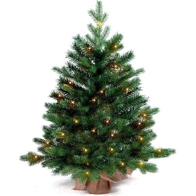 LAALU Vánoční stromek v květináči s LED osvětlením - jedle BERNARD, 60 cm