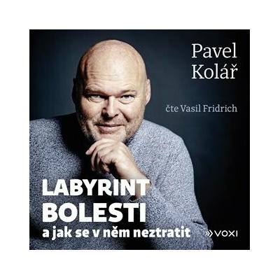 Labyrint bolesti