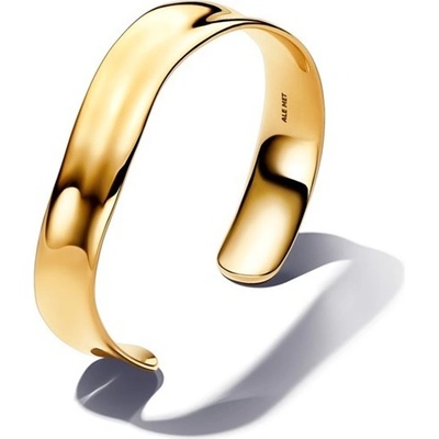 Pandora 563302C00-1