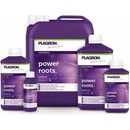 PLAGRON Power roots 100ml