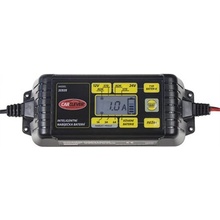 CarClever 12V 24V/6A