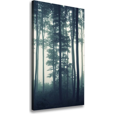 Vertikálny foto obraz canvas Hmla v lese 50x100 cm