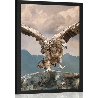 Plakát orel s roztaženými křídly nad horami - 40x60 no frame